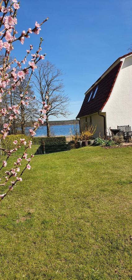 Villa Seeschwalbe Plau เพลาอัมซี ภายนอก รูปภาพ